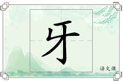 牙怎么写