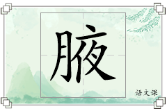 腋怎么写