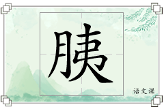 胰怎么写