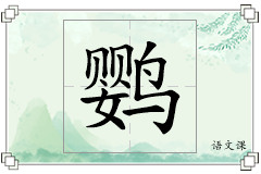 鹦怎么写