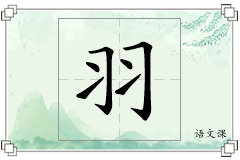 羽怎么写