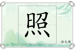 照怎么写