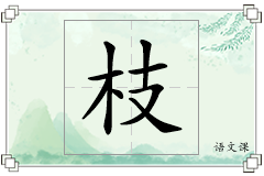枝怎么写