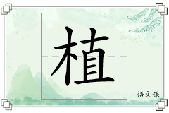 植怎么写
