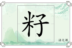 籽怎么写